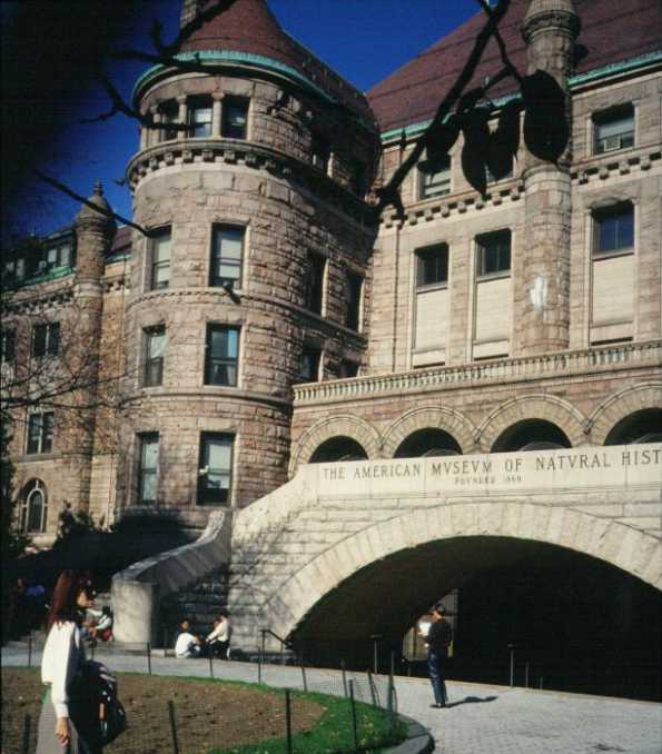 New York Naturkundemuseum