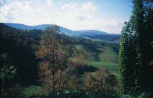 Apalachen