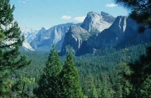 Yosemite Park